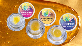 Sungrown Concentrates Have Arrived  ☀️🍯🌱